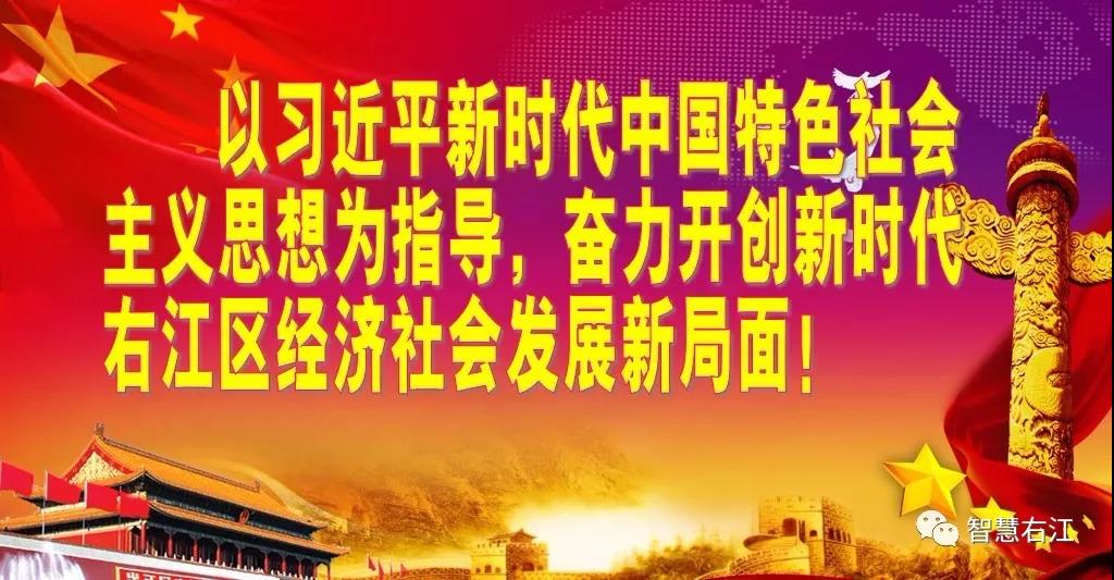 右江区“党旗领航•共创美好社区”服务活动走进深圳小镇 右江,右江区,江区,党旗,领航