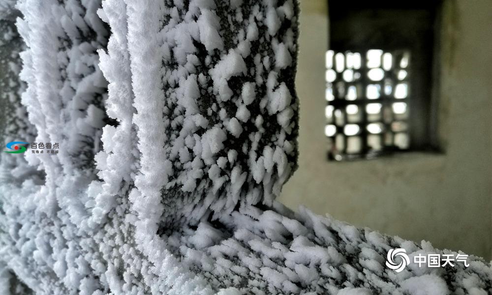 高清组图：百色出现冰冻雨雪天气 草木冻成冰柱 高清,组图,百色,出现,冰冻