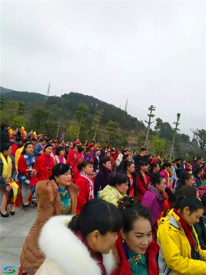 旗韵悠扬，芳华绝代：百色市旗袍文化协会成立庆祝大会 悠扬,芳华,芳华绝代,绝代,百色