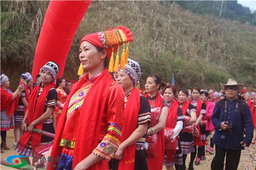 百色昂里村举办首届出嫁女儿回娘家欢聚活动 百色,里村,举办,首届,出嫁