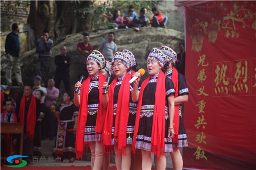 百色昂里村举办首届出嫁女儿回娘家欢聚活动 百色,里村,举办,首届,出嫁