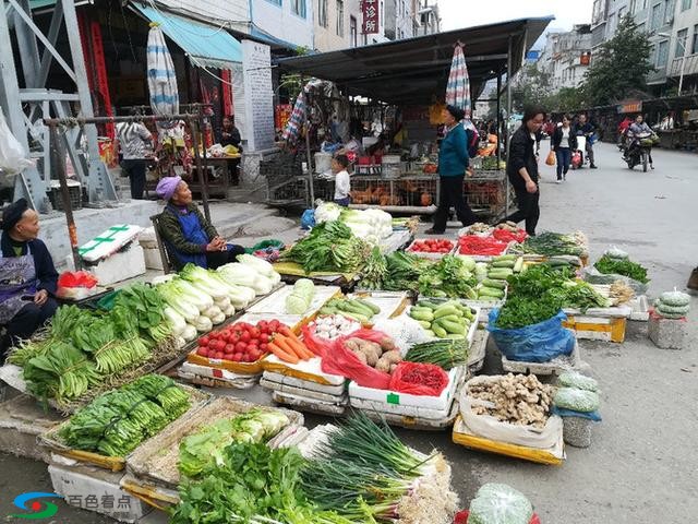 隆林县菜市场卖的奇特好货很多，这些你都吃过吗？ 隆林,隆林县,林县,菜市,菜市场