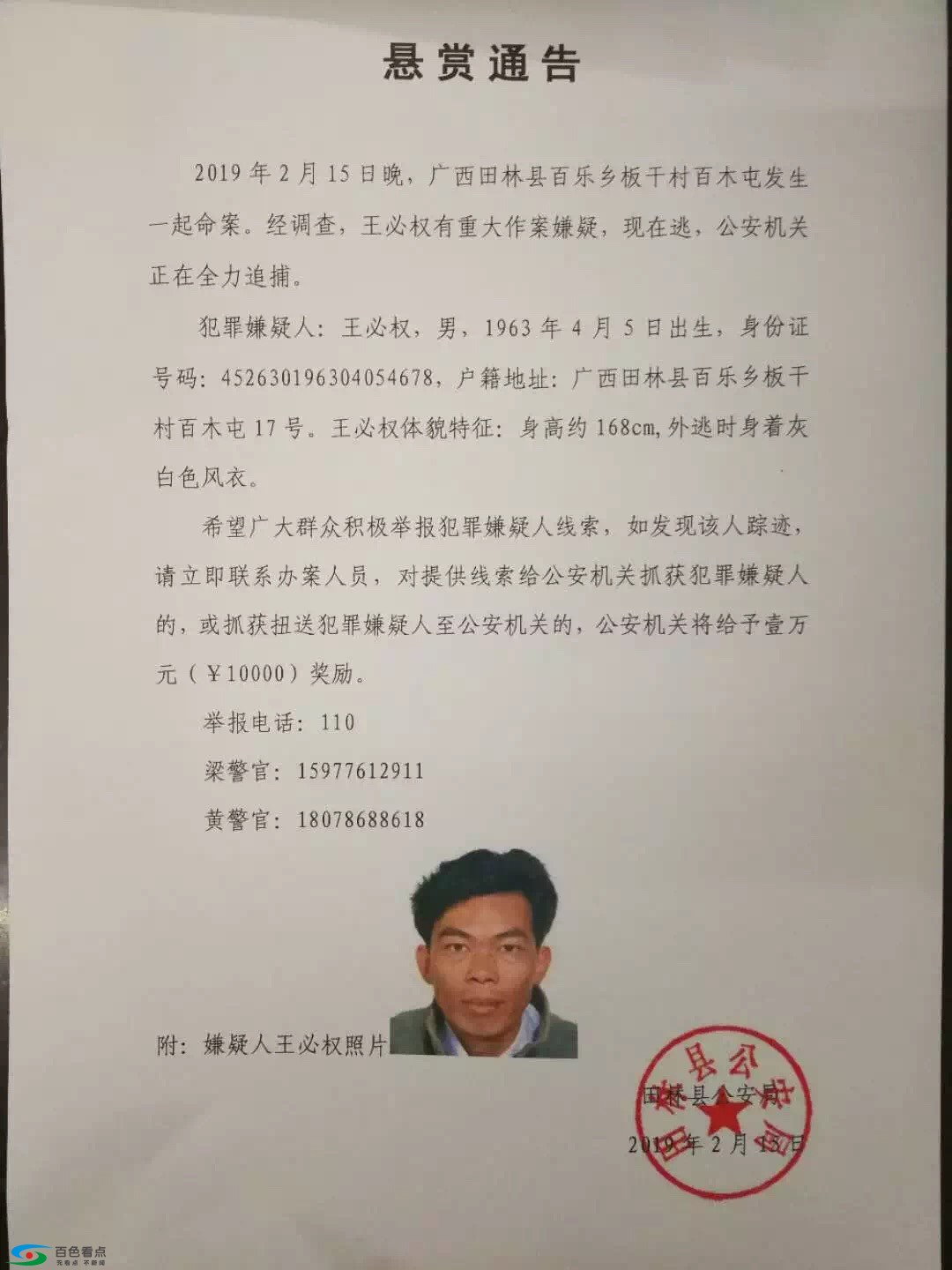 突发！百色田林发生一起命案，警方万元悬赏 突发,百色,田林,林发,林发生