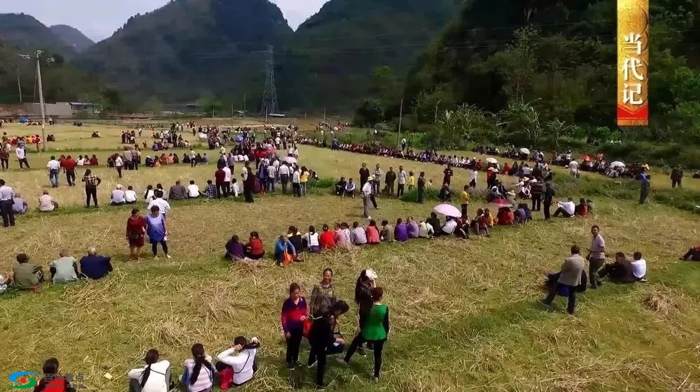 田阳要火！央视这个栏目一整集都在介绍田阳！先睹为快！ 田阳,央视,这个,栏目,目一