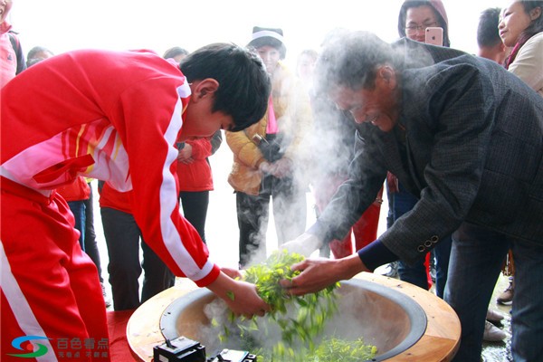 八桂凌云春茶开采，这群曾经震撼全国的小天使与我们同行 八桂,桂凌,桂凌云,凌云,云春