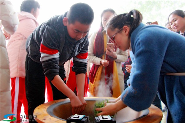 八桂凌云春茶开采，这群曾经震撼全国的小天使与我们同行 八桂,桂凌,桂凌云,凌云,云春