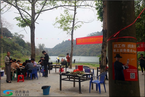 2019植树节，百色大boos联盟联合百色多家企业种“春天”！ 百色,活动,植树节,学院,澄碧