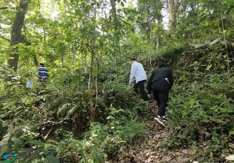 靖西一家人刚安葬先人不久坟头被挖掉！结果... 靖西,西一,一家,一家人,家人