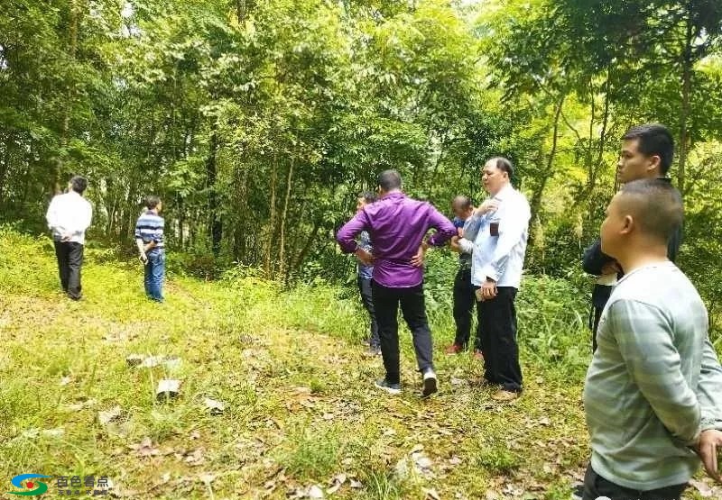 靖西一家人刚安葬先人不久坟头被挖掉！结果... 靖西,西一,一家,一家人,家人