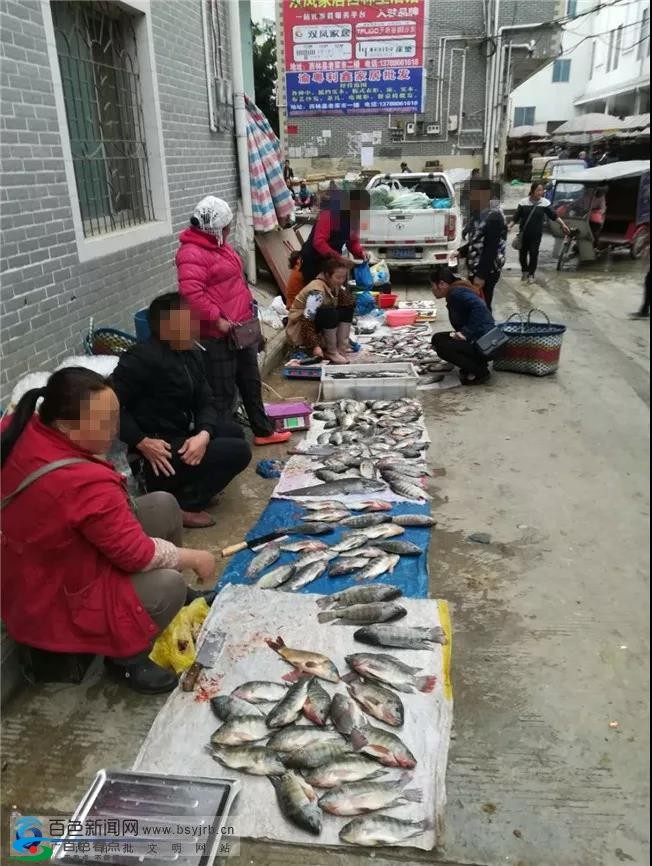 请严管！西林驮娘江私自捕捞现象猖獗，莫让禁渔令成空谈 严管,西林,驮娘江,私自,捕捞