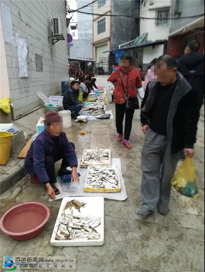 请严管！西林驮娘江私自捕捞现象猖獗，莫让禁渔令成空谈 严管,西林,驮娘江,私自,捕捞