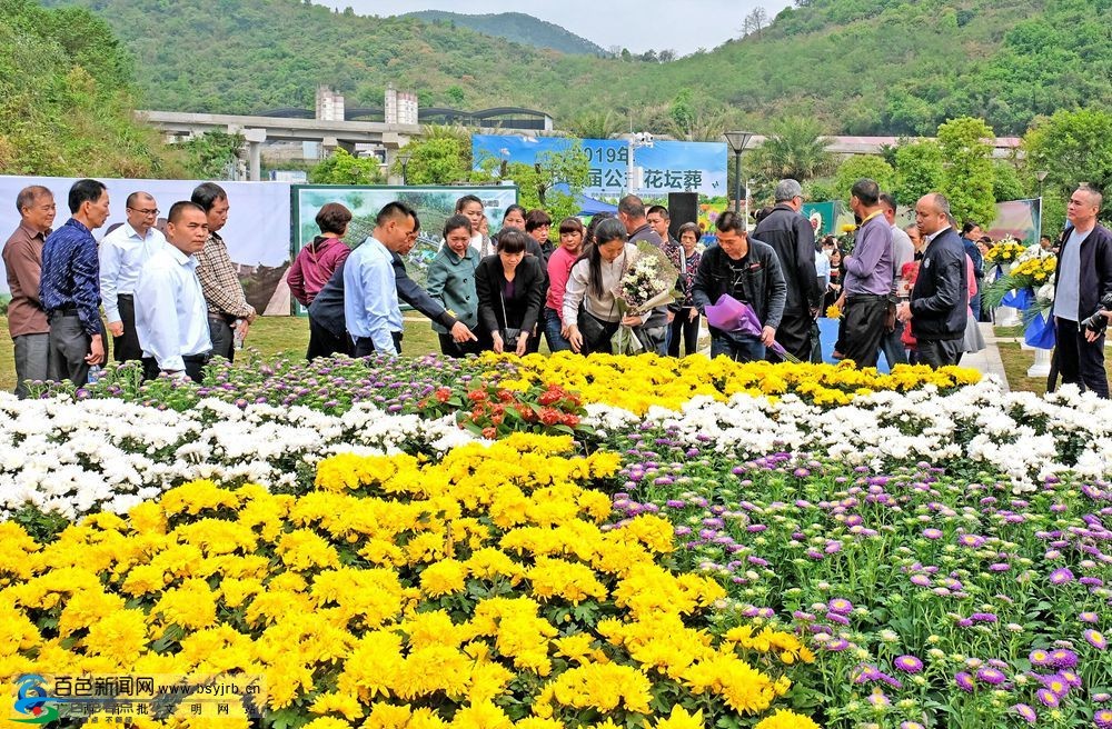 百色举行首届公益花坛葬 让生命延续更多绿色 百色,举行,行首,首届,公益