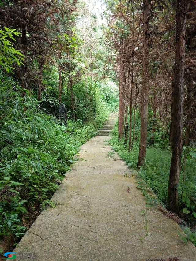 中越588界碑，那坡旅游新去处，你去过了吗？ 中越,588,界碑,那坡,旅游