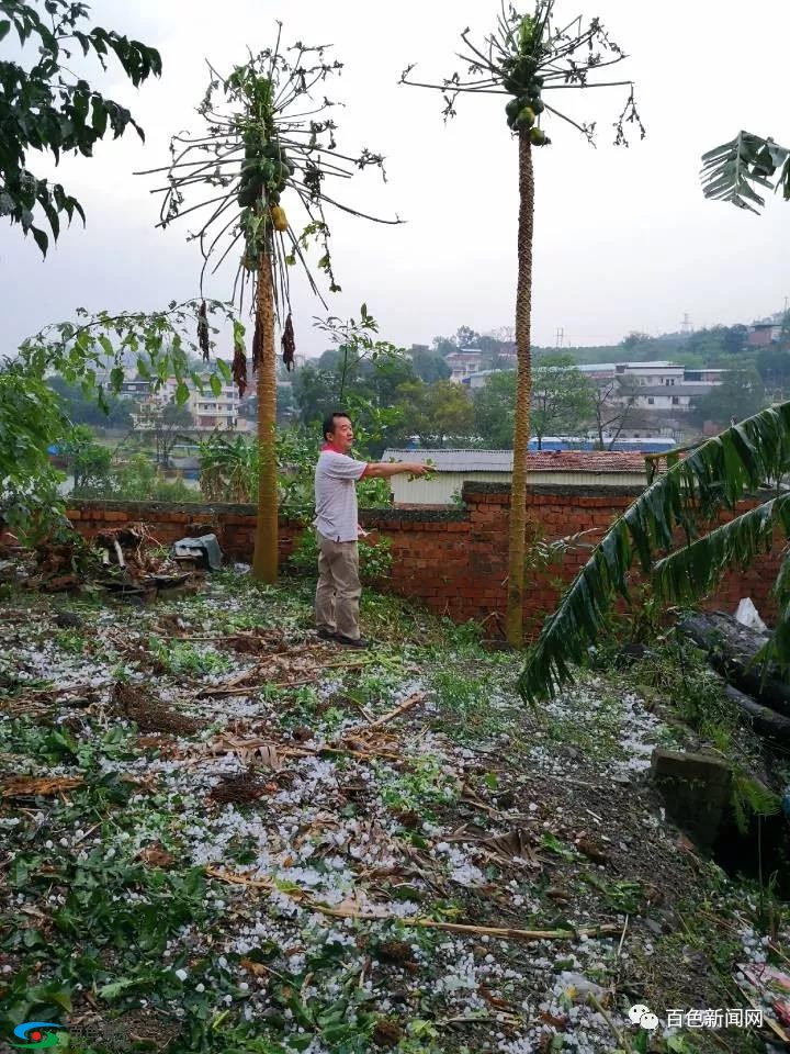 百色右江区遭冰雹袭击，中央气象台关注转发 百色,右江,右江区,江区,冰雹