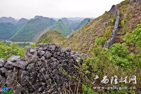 百色隆林有一座“长城”，至今已有一百三十多年的历史！ 百色,隆林,林有,一座,长城