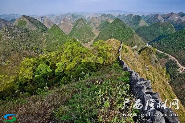 百色隆林有一座“长城”，至今已有一百三十多年的历史！ 百色,隆林,林有,一座,长城