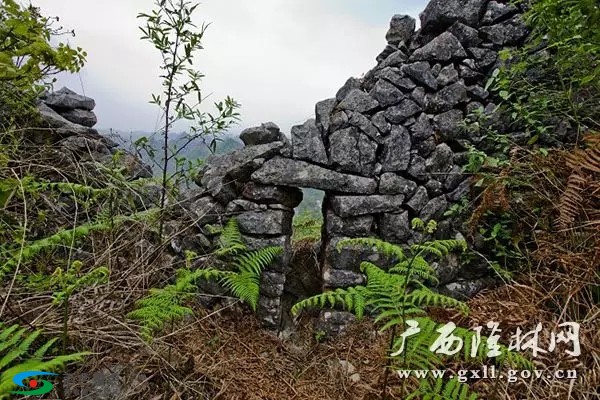 百色隆林有一座“长城”，至今已有一百三十多年的历史！ 百色,隆林,林有,一座,长城