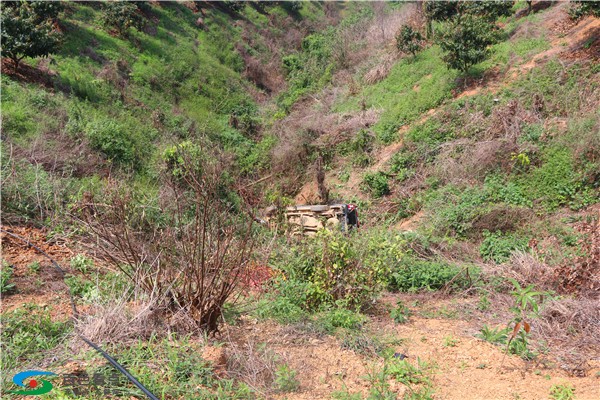 百色田阳：皮卡车翻下山坡 司机不幸死亡 百色,田阳,皮卡,皮卡车,卡车