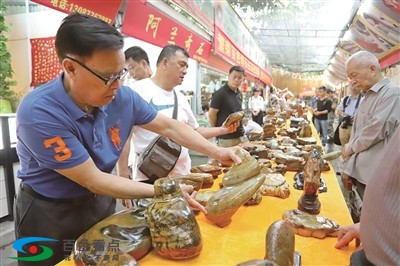 百色市奇石文化交流协会挂牌 百色,百色市,奇石,石文,石文化