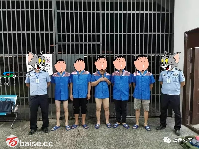 大单，靖西警方破获走私冻品案17起，刑拘21人逮捕3人…… 大单,靖西,警方,破获,走私