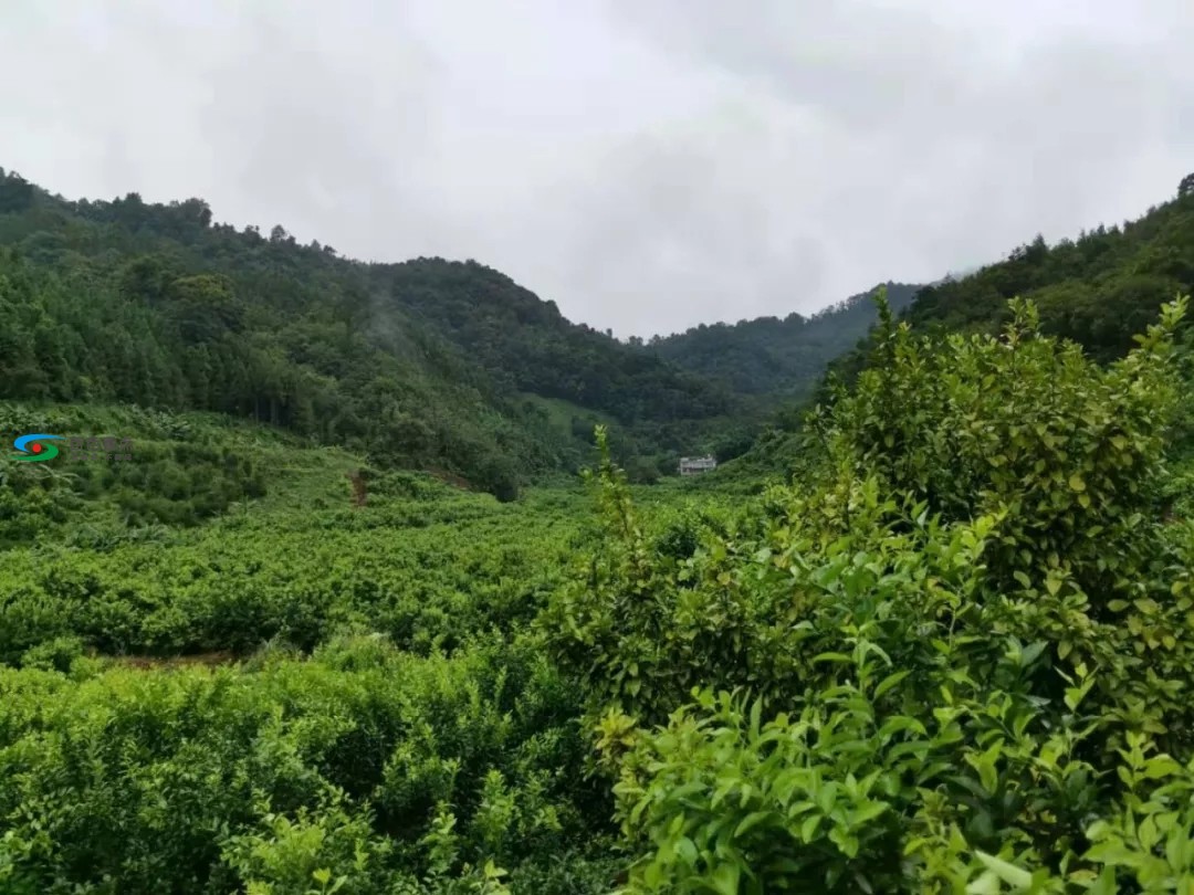 学习文秀精神，他们重走战友曾走过的扶贫路！ 学习,习文,习文秀,文秀,精神