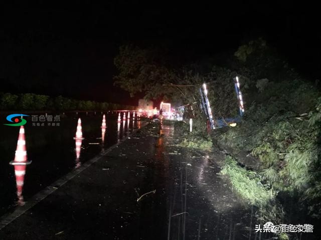 百色高速雨夜凌晨，惊现一辆树枝缠绕的半挂式货车…… 百色,高速,雨夜,夜凌,凌晨