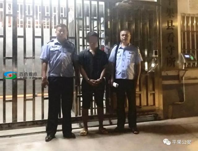 粗心乘客遗失手机，万元钱财被盗刷—平果警方快速破案 粗心,乘客,遗失,失手,手机