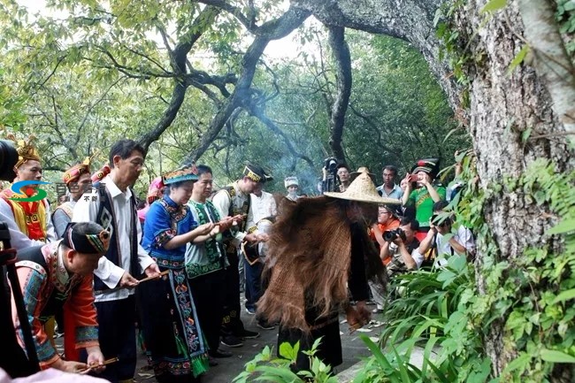 采新、祭祖、拜树……百色隆林仡佬族 “尝新节”嗨翻天 祭祖,百色,隆林,仡佬,仡佬族