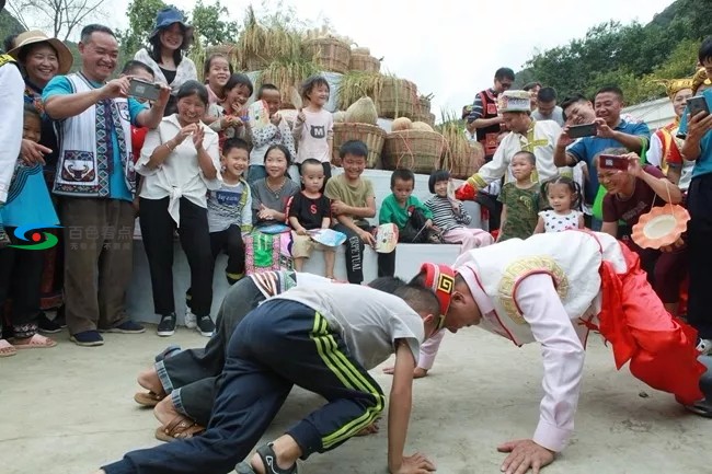 采新、祭祖、拜树……百色隆林仡佬族 “尝新节”嗨翻天 祭祖,百色,隆林,仡佬,仡佬族