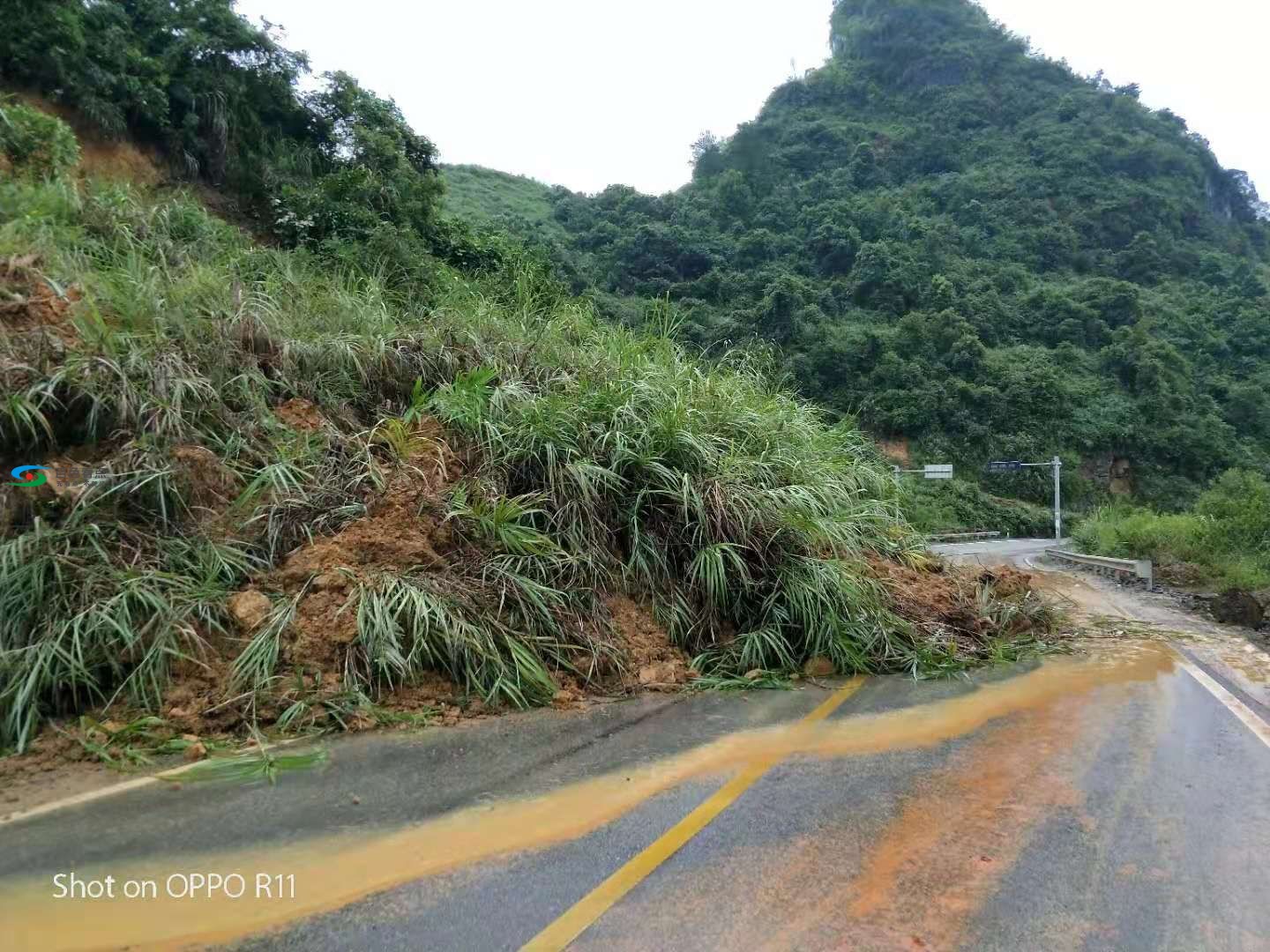 百色普通国省干线公路交通阻断信息（2019年9月9日） 百色,普通,通国,国省,省干线公路