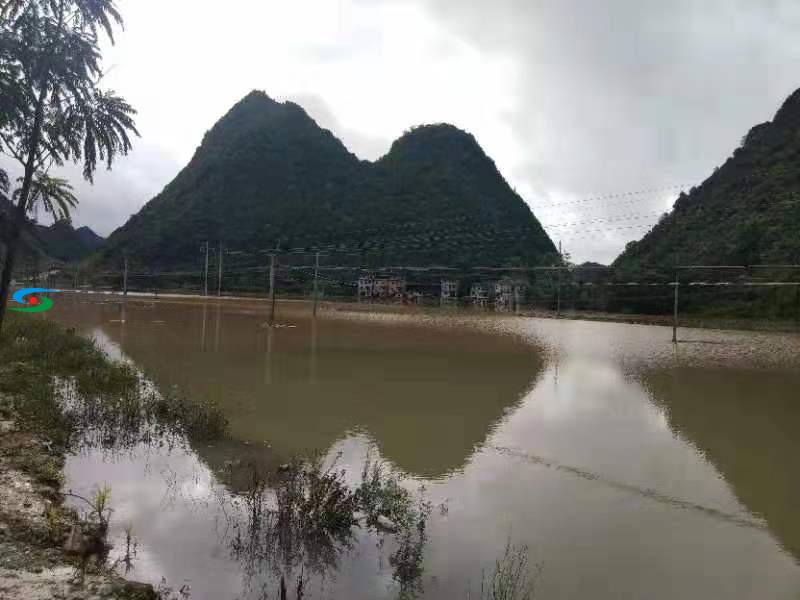 S307线那坡县龙合镇善合村路段因水淹路面导致交通中断 s307,那坡,那坡县,龙合,善合