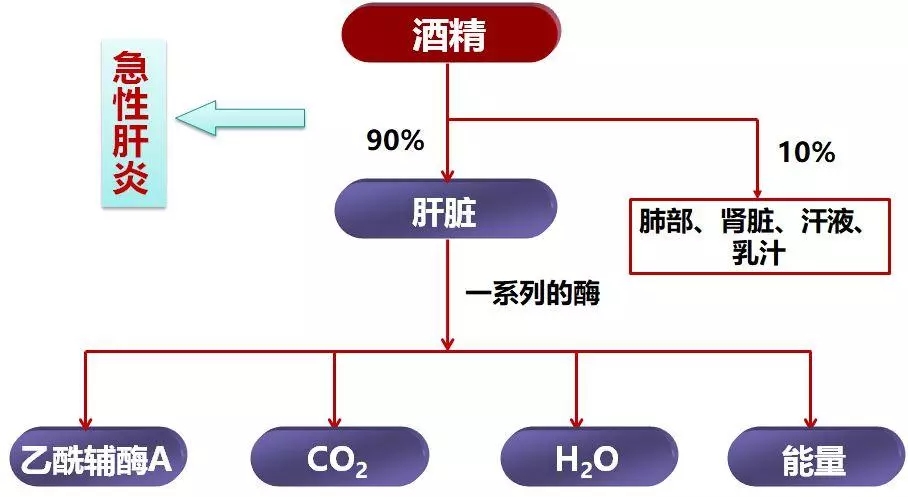 百色人民的健康福利来啦！！！ 百色,百色人,人民,健康,康福