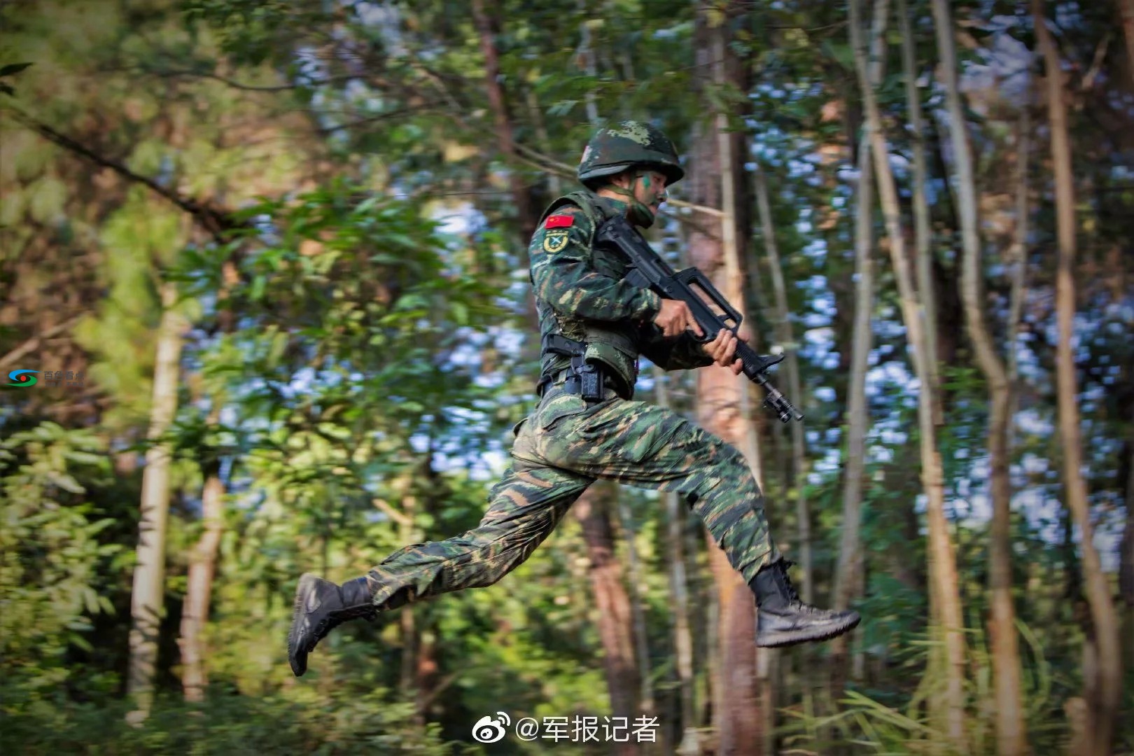 密林奇袭！直击武警广西总队百色支队捕歼战斗现场 密林,林奇,奇袭,直击,武警