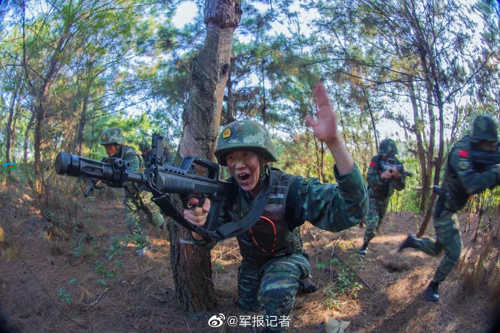 密林奇袭！直击武警广西总队百色支队捕歼战斗现场 密林,林奇,奇袭,直击,武警