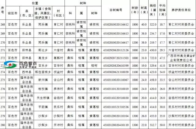 百色市这47棵古树树龄均超千年 列为特级保护古树 百色,百色市,古树,树树