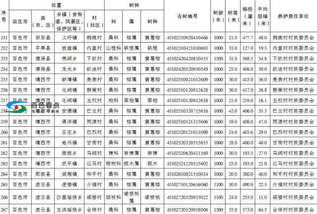 百色市这47棵古树树龄均超千年 列为特级保护古树 百色,百色市,古树,树树