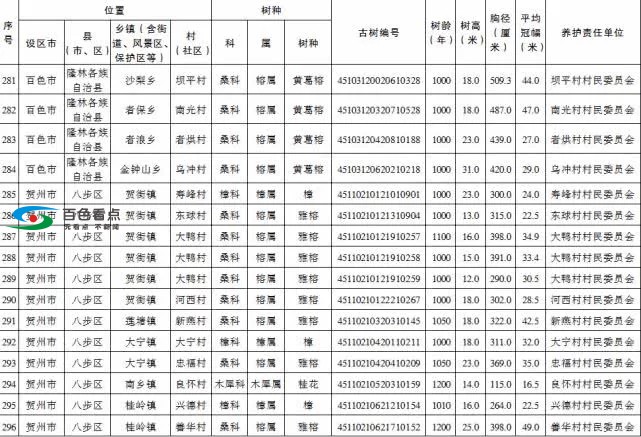 百色市这47棵古树树龄均超千年 列为特级保护古树 百色,百色市,古树,树树