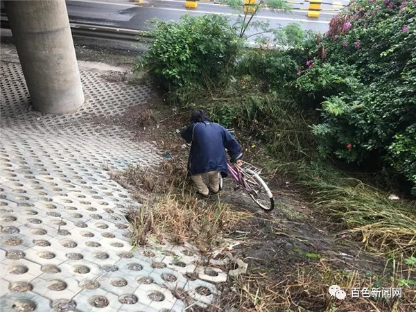 胆真大！田东一男子竟骑自行车上高速，幸好…… 田东,田东一,东一,东一男,一男