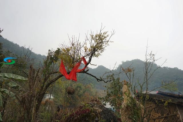 百色那坡中山壮族“同歌节”，与仙女下凡对唱情歌的节日 百色,那坡,中山,壮族,仙女