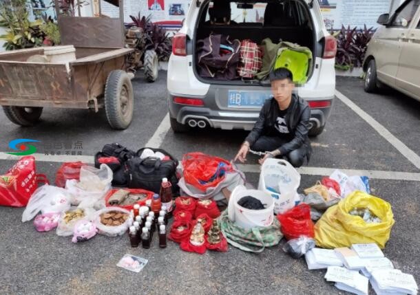 又见卖假药！这9人卖假药给老人被百色田阳警方抓获 又见,假药,老人,百色,田阳