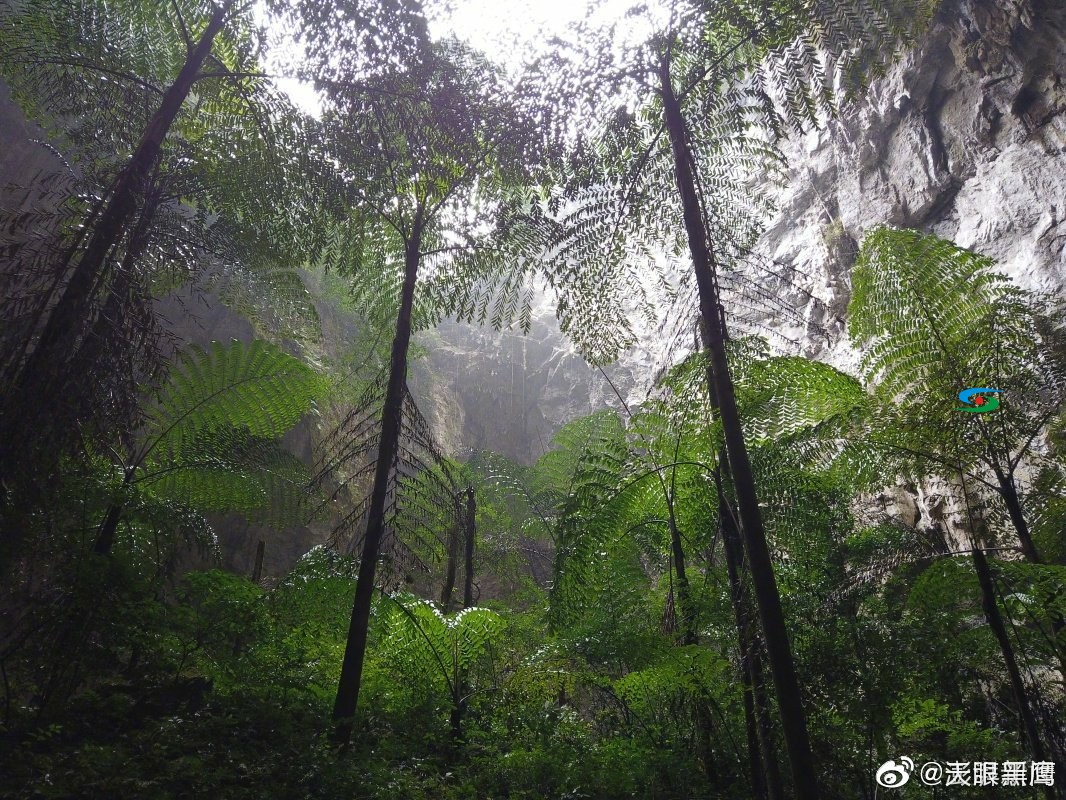 广西那坡县发现一世界级天坑群！ 广西,那坡,那坡县,发现,一世