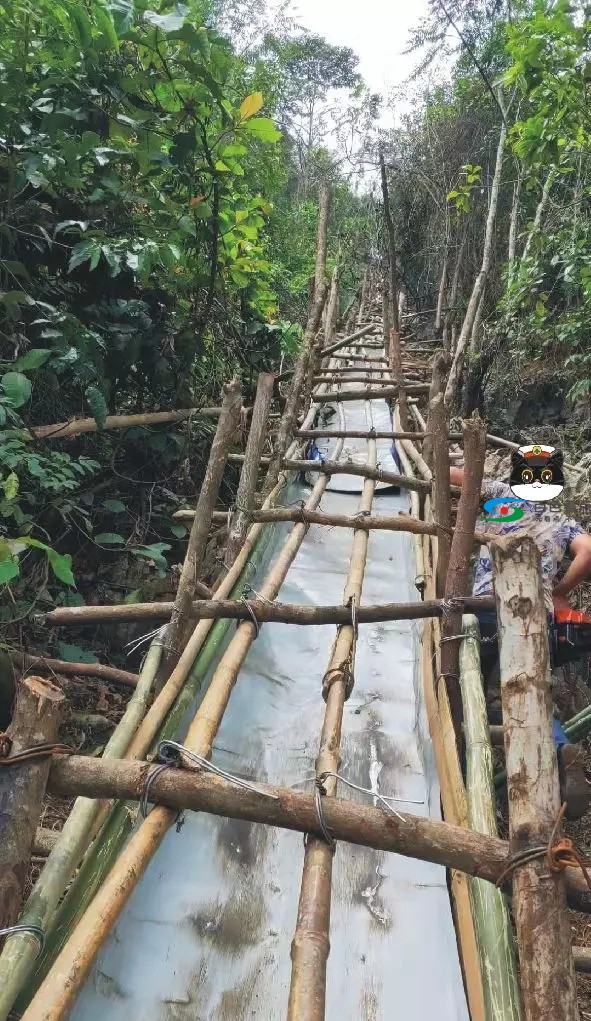 百色靖西这个山林中暗藏2条索道运送走私物品 百色,靖西,这个,山林,林中