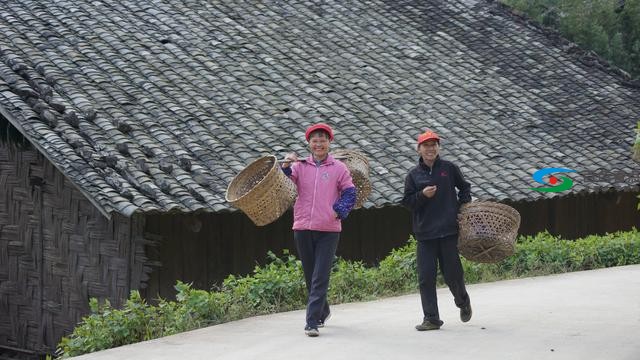 百色那坡县德隆乡大山深处念头村 百色,那坡,那坡县,德隆,德隆乡