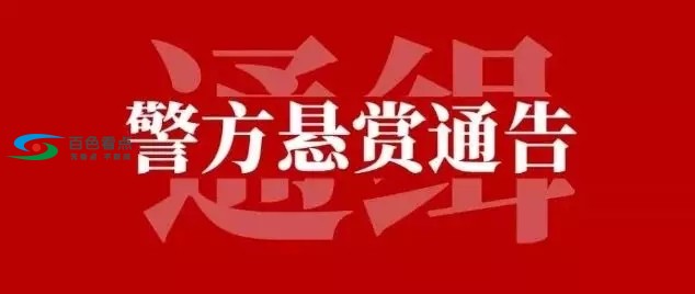 最高奖励8万元！百色隆林警方公开悬赏8名在逃嫌疑人 最高,奖励,8万,8万元,万元