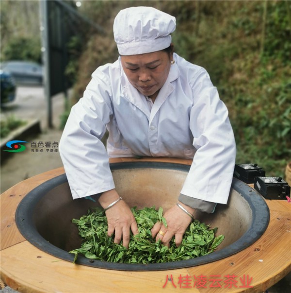 新冠疫情抵挡不住春天的脚步 八桂凌云春茶依然与君同在 疫情,抵挡,挡不住,春天,脚步