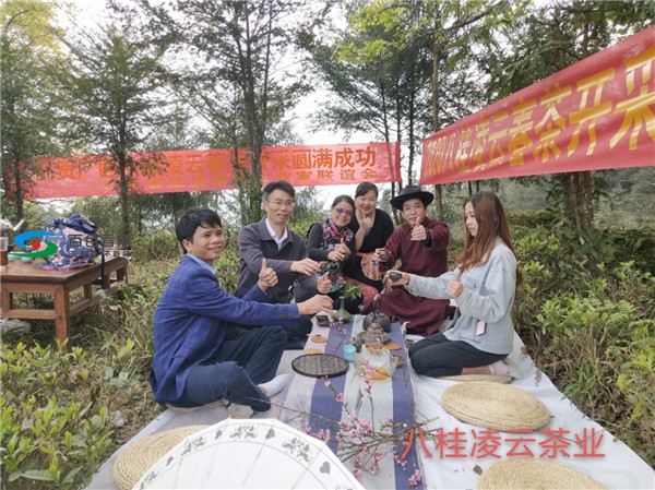 新冠疫情抵挡不住春天的脚步 八桂凌云春茶依然与君同在 疫情,抵挡,挡不住,春天,脚步