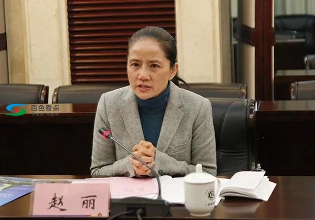 广西副厅级“最美女书记”赵丽落马 广西,副厅级,厅级,最美,美女