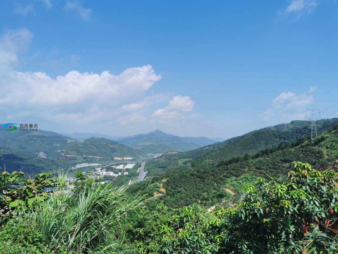 百色田林“高山芒果”来咯！比正常芒果晚熟近20天 百色,田林,高山,高山芒,山芒果