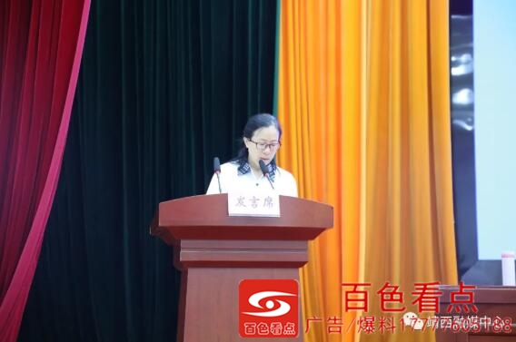 广西靖西市扎实推进政府系统党风廉政建设 广西,靖西,靖西市,西市,扎实