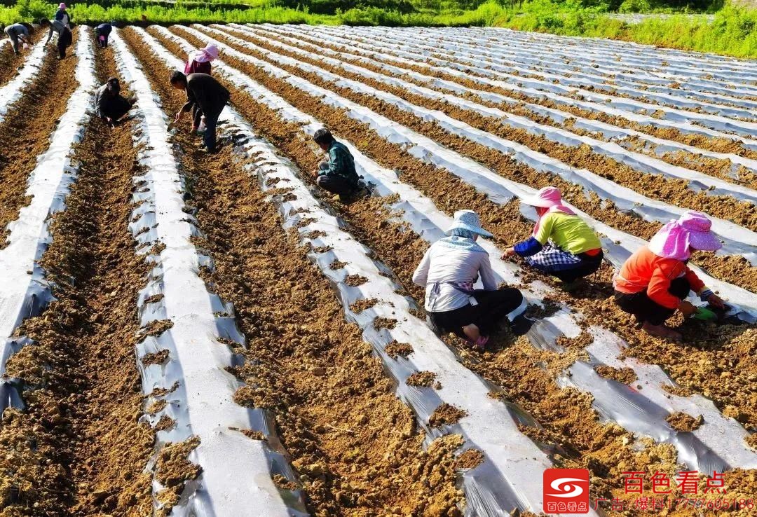 明天起，这些新规将影响你的钱包、爱车、医保…… 明天,这些,新规,影响,你的